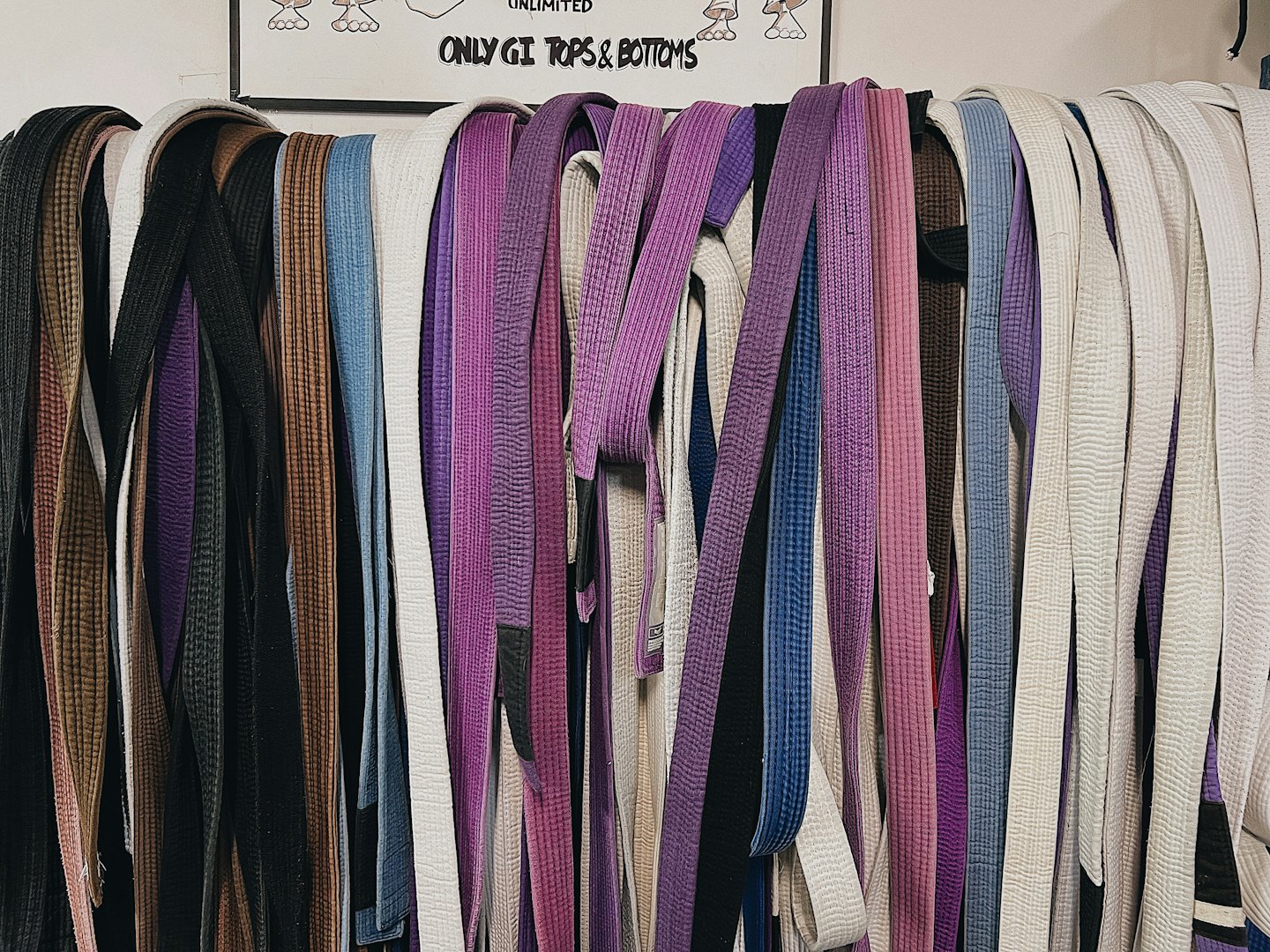Martial arts belts displayed in rows on a wall rack.